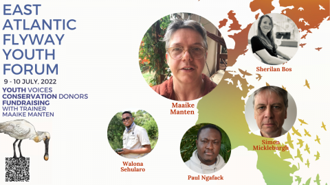 Wadden Sea Flyway Initiative (WSFI) | Flyways Initiative